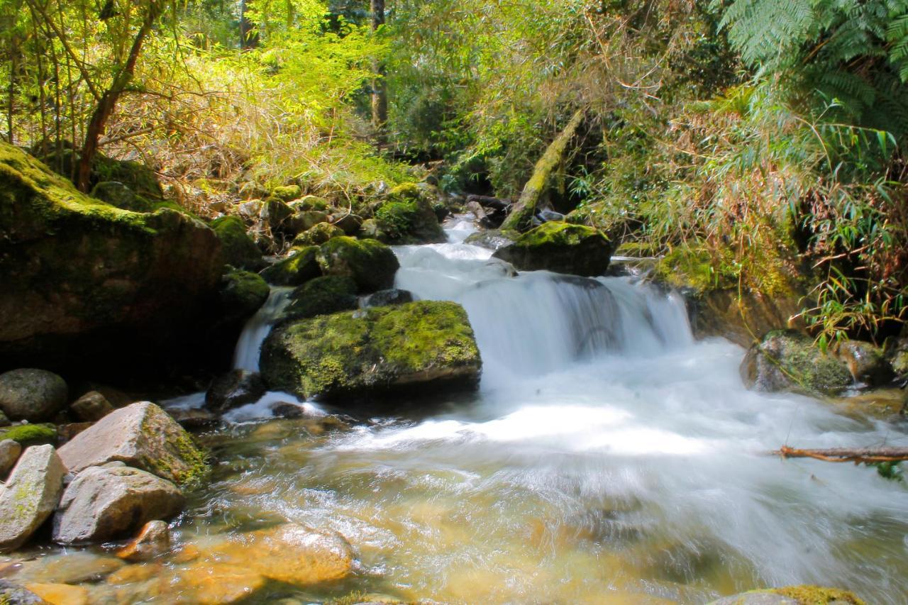 Hotel Natura Peulla Bagian luar foto